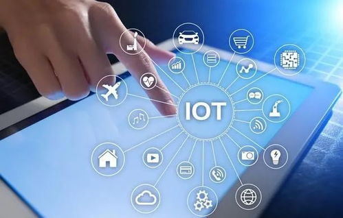 王思聪瞄准沉浸式体验新风口 普思资本入股UMEplay，布局真人互动游戏剧