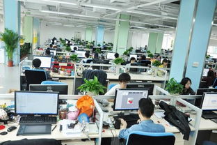 广州网络技术服务行业洞察 看准网上的机遇与挑战